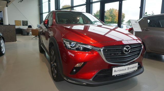 Fahrzeugabbildung Mazda CX-3 SKYACTIV-G NAVI+KAMERA+SHZ+TEMPO