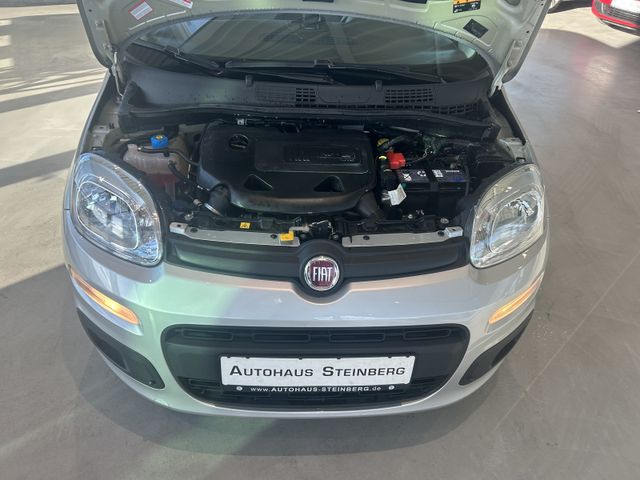 Fahrzeugabbildung Fiat Panda AUTOMATIK+1 HAND+EINPARKHILFE+ALU Panda Lo