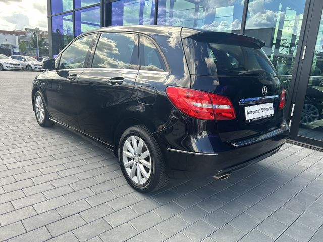 Fahrzeugabbildung Mercedes-Benz B 180 SITZHEINUNG+EINPARKHILFE+ALU B 180 B B 180