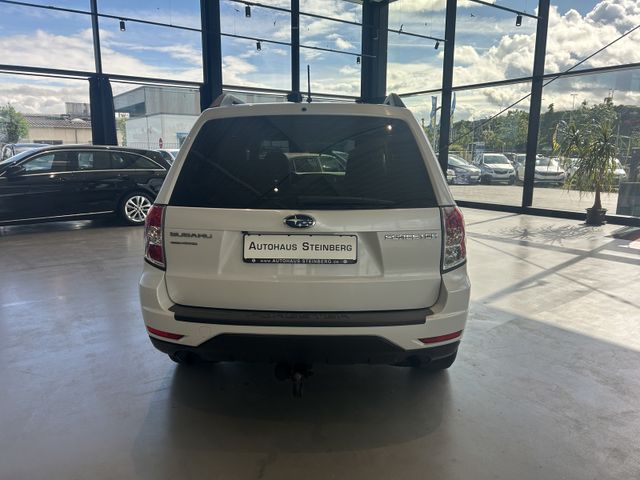 Fahrzeugabbildung Subaru Forester LEDER+PANO+KAMERA+AHK+SHZ Forester Excl